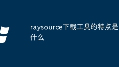 Was sind die Merkmale des Raysource-Download-Tools?