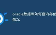 oracle数据库如何查内存使用情况