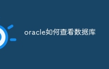 oracle如何查看数据库