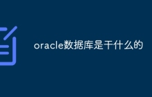 oracle数据库是干什么的
