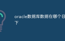 oracle数据库数据在哪个目录下