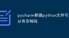 pycharm の新しい Python ファイルにスペースを含めることはできますか?