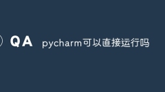 pycharmは直接実行できますか?