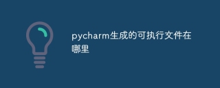 pycharm生成的可执行文件在哪里