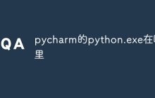 pycharm的python.exe在哪里