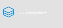 Redisデータベースの一般的なコマンド