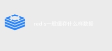 Apakah jenis data yang biasanya disimpan oleh redis?