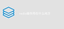 Di manakah cache redis digunakan?