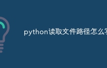 python读取文件路径怎么写