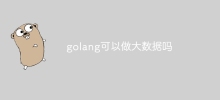 golang可以做大数据吗