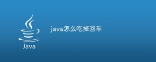 java怎么吃掉回车