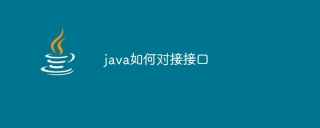 java如何对接接口