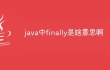 java中finally是啥意思啊