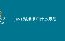 java对接接口什么意思