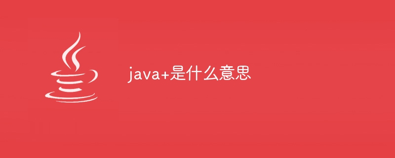 What does java+ mean?