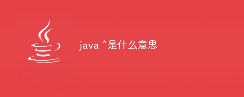 What does java ^ mean?