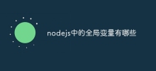 What are the global variables in nodejs