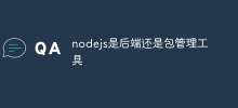Is nodejs a backend or a package management tool?