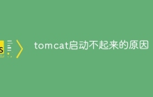 tomcat启动不起来的原因