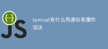tomcat有什麼用簡單易懂的說法