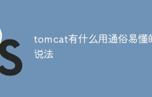 tomcat有什么用通俗易懂的说法