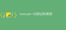 tomcat一閃而過的原因