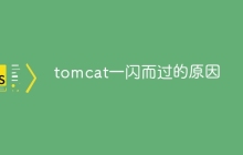 tomcat一闪而过的原因