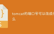 tomcat的端口号可以改成什么