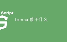 tomcat能干什么