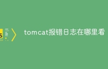 tomcat报错日志在哪里看