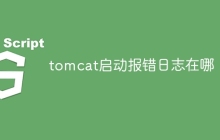tomcat启动报错日志在哪