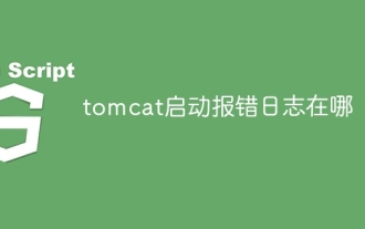 Where is the tomcat startup error log?