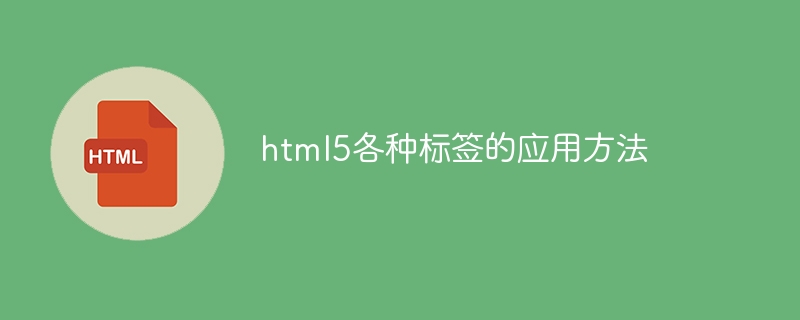 html5各种标签的应用方法