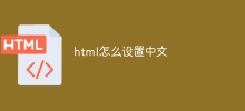 HTML에서 중국어를 설정하는 방법