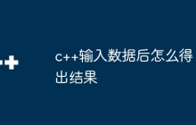 c++输入数据后怎么得出结果