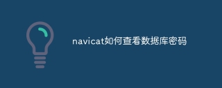 navicat如何查看数据库密码