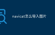 navicat怎么导入图片