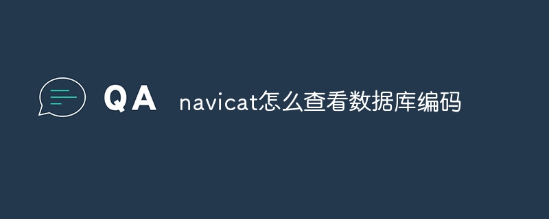 navicat怎麼查看資料庫編碼