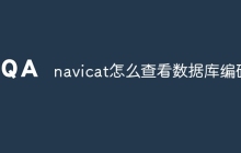 navicat怎么查看数据库编码