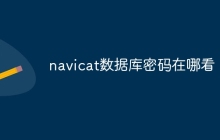 navicat数据库密码在哪看
