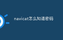 navicat怎么知道密码
