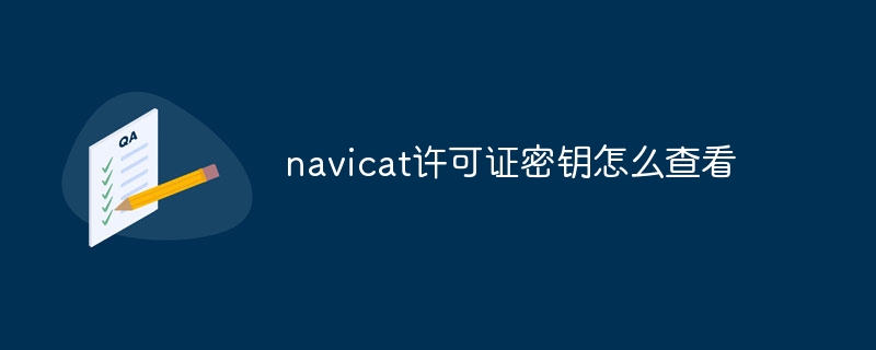 navicat许可证密钥怎么查看