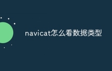navicat怎么看数据类型