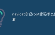 navicat忘记root密码怎么查看