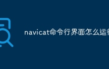 navicat命令行界面怎么运行