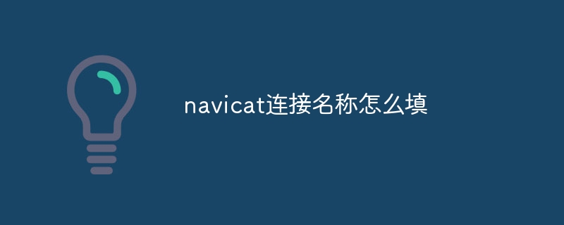 Navicat 연결 이름을 입력하는 방법