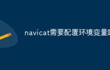 navicat需要配置环境变量吗