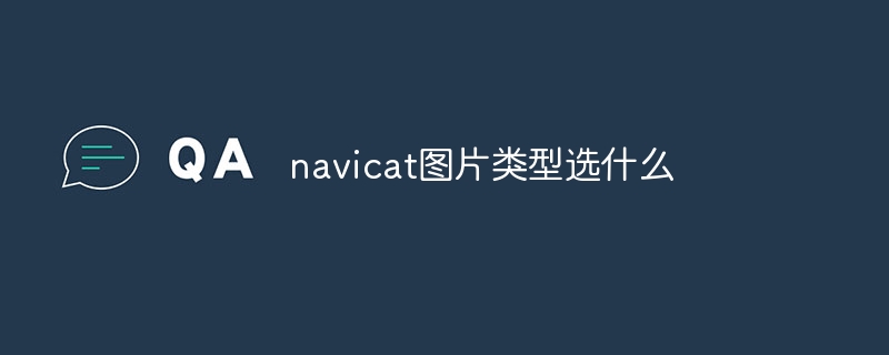 navicat で選択する画像タイプ