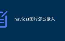 navicat图片怎么录入
