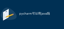 Can pycharm use java?